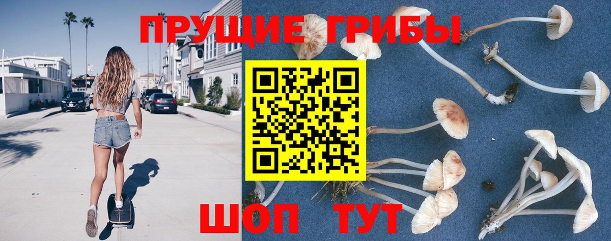 Галлюциногенные грибы ЛСД  наркота  Каспийск  Вход с VPN 