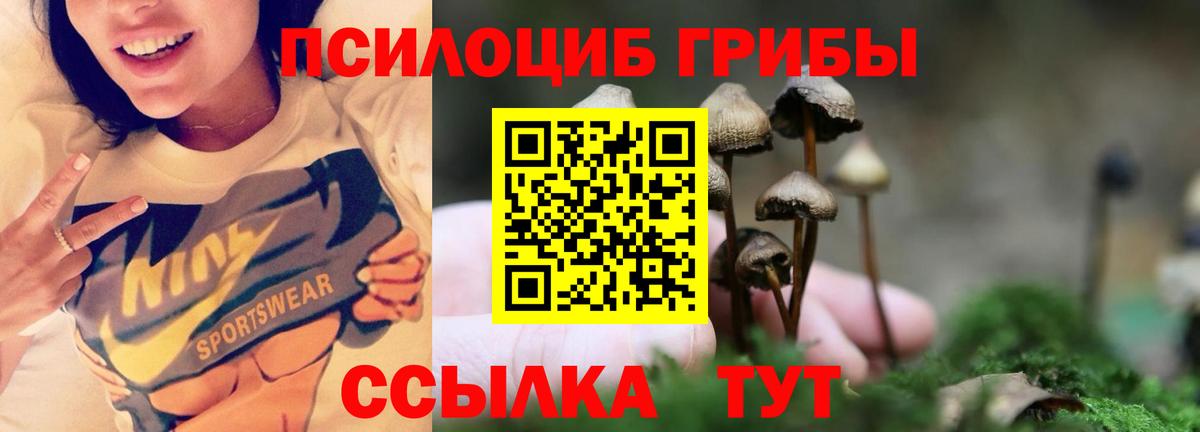 Галлюциногенные грибы ЛСД Каспийск